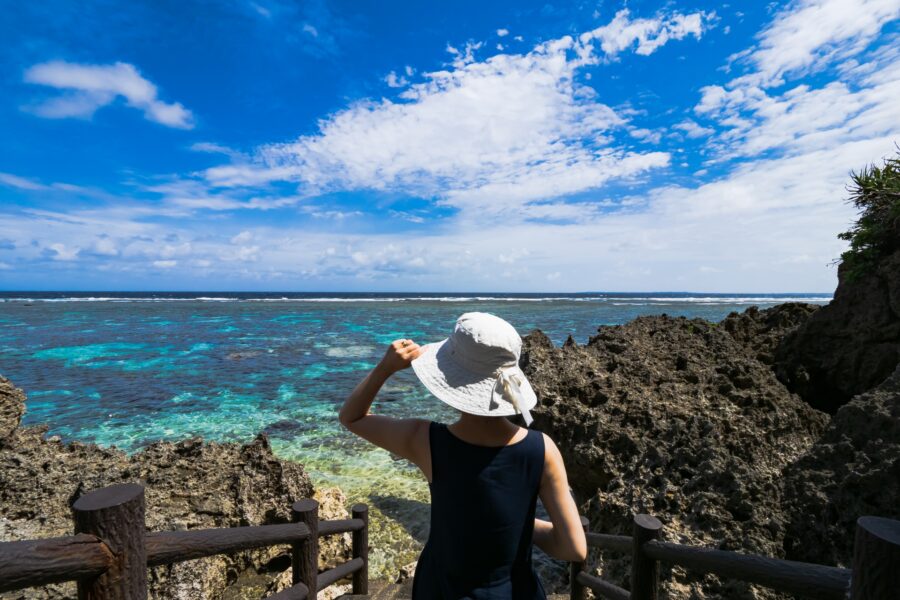 シンビジ 宮古島