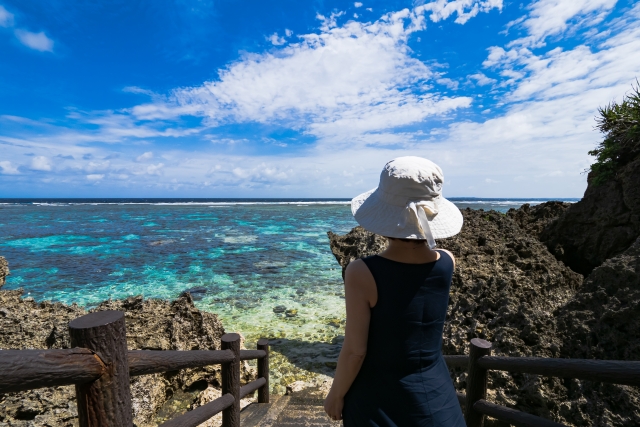 シンビジ 宮古島